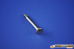 M1553972