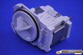 PUMP DRAIN 50HZ. - M1509772 - 