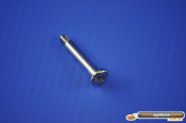 BOLT. SPECIAL - M1553972 - 