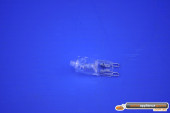 BULB. OVEN LAMP. G9.230V.40W - M1568078 - 